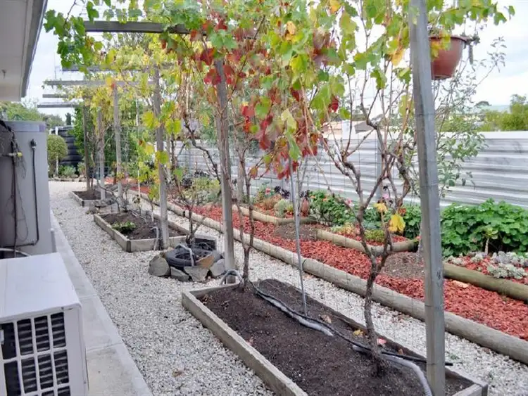 Seventh view of Homely house listing, 51 Venn  Ave, Bordertown SA