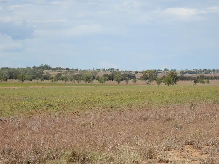 Seventh view of Homely rural property listing, 135 Austins Road, Theodore QLD 4719