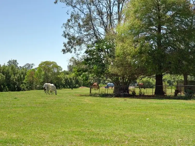Seventh view of Homely house listing, 96 Beelarong St, Morningside QLD
