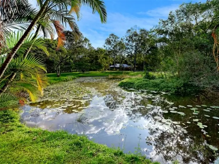Fourth view of Homely house listing, 12 Oak St, Nerang QLD
