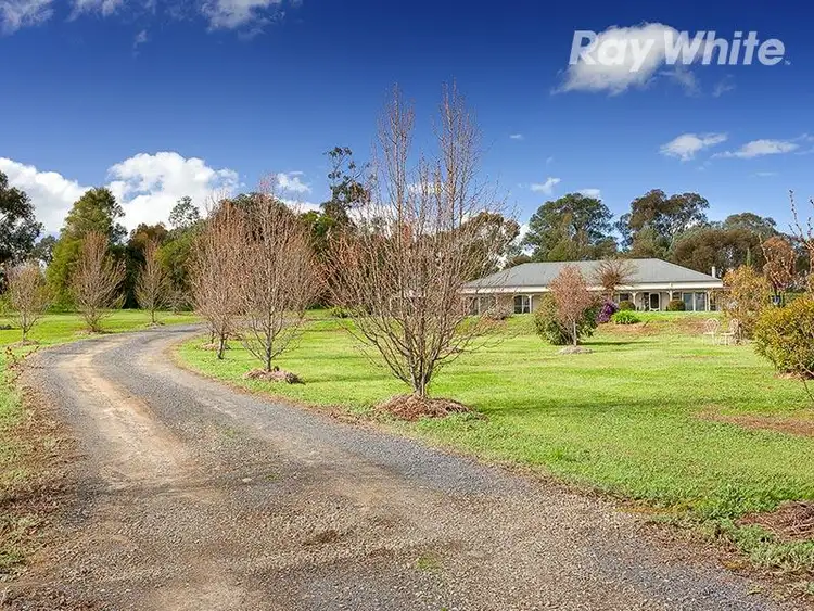 Sixth view of Homely house listing, 31 Sheridan Ct, Rutherglen VIC