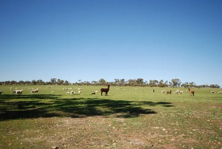 Seventh view of Homely land listing, 10 Yilliminning Road, Narrogin WA 6312