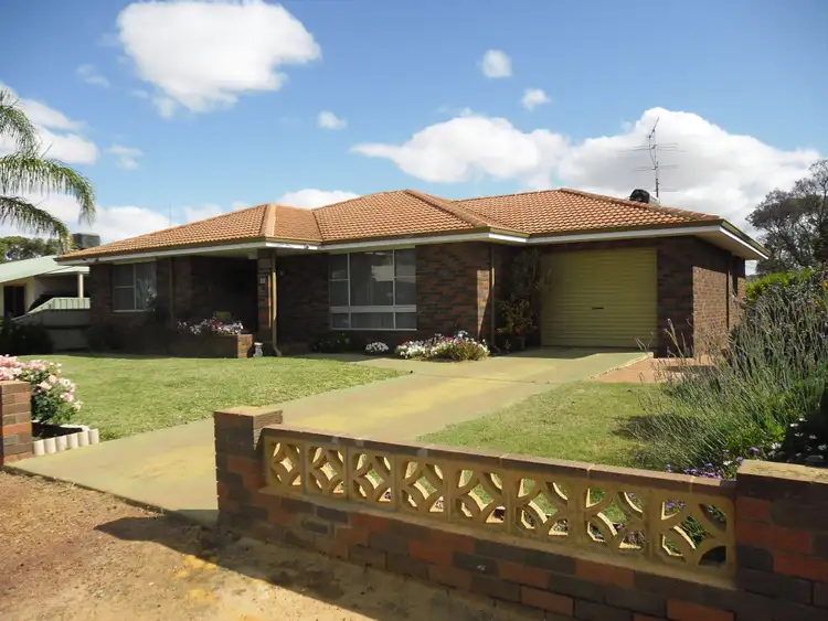 88 Williamson Street, Three Springs WA 6519