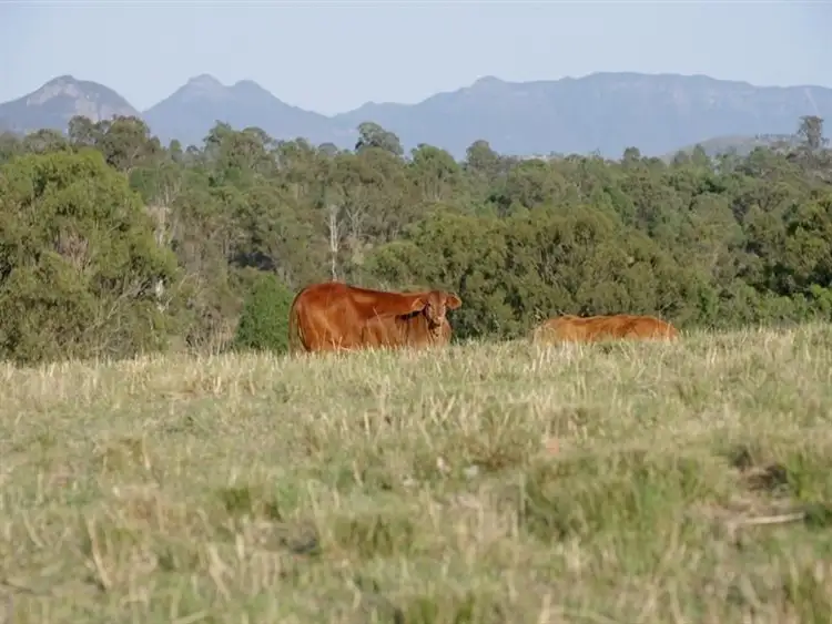 Fifth view of Homely rural property listing, 1068 Boonah Rathdowney Rd, Boonah QLD