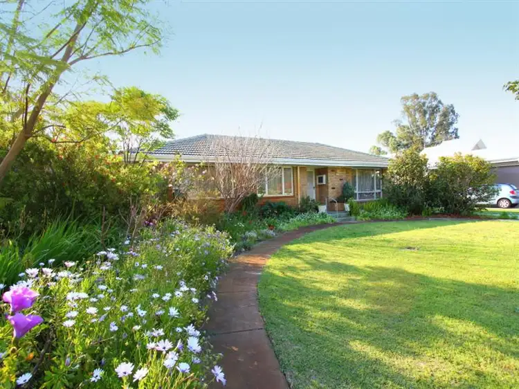 19 Appleton St, Carlisle WA