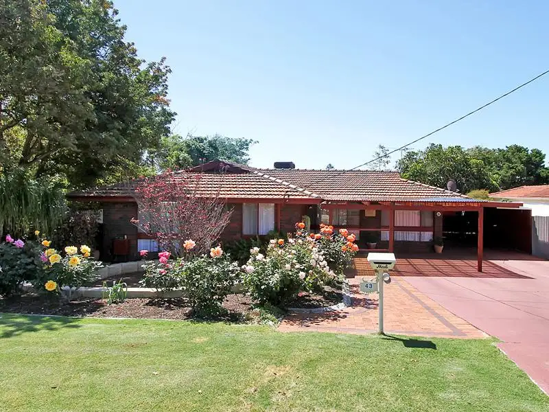 Main view of Homely house listing, 43 Buchanan Way, Padbury WA