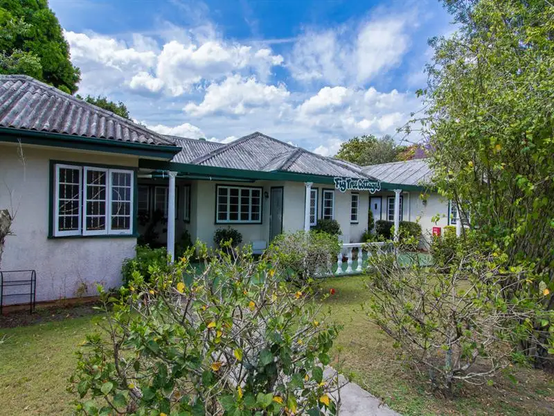 Main view of Homely unit listing, 3/9 Walton St, Southport QLD