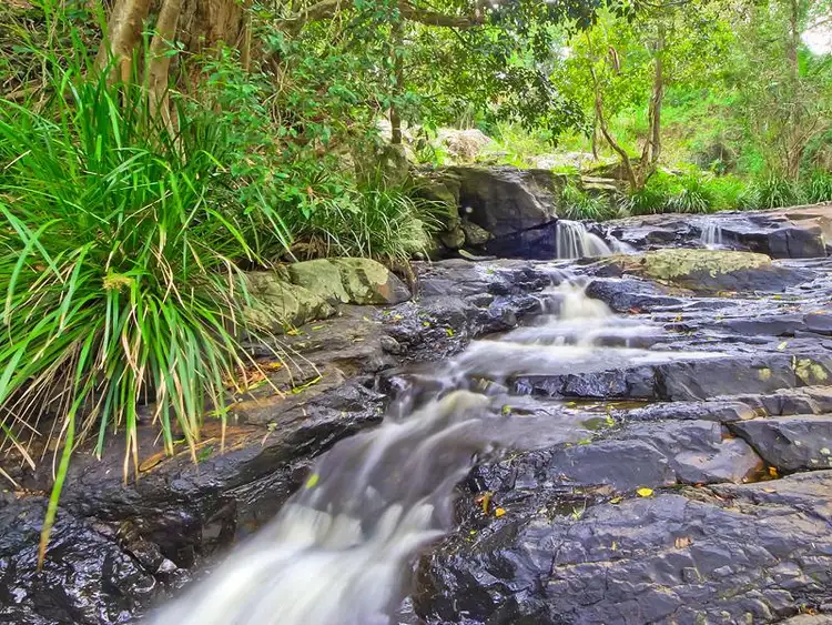 Seventh view of Homely house listing, 299 Hogan's Rd, Bilambil NSW