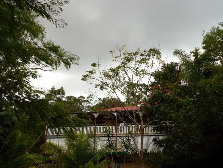 Second view of Homely house listing, 28 Nolan St, Tallai QLD