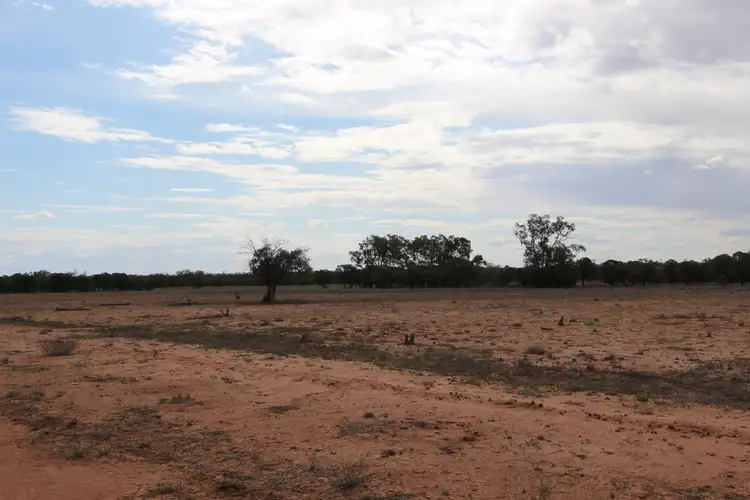 Fourth view of Homely rural property listing, Lot 56 - 57 Diamantina Developmental Road, Charleville QLD 4470