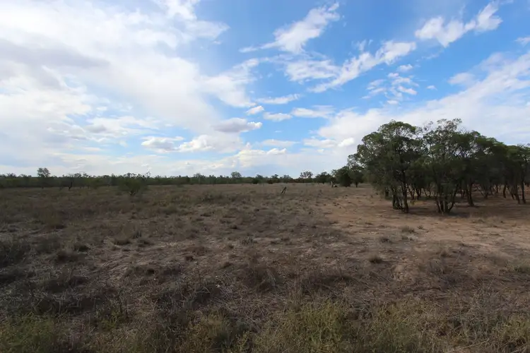 Fifth view of Homely rural property listing, Lot 56 - 57 Diamantina Developmental Road, Charleville QLD 4470