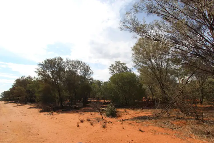 Seventh view of Homely rural property listing, Lot 56 - 57 Diamantina Developmental Road, Charleville QLD 4470