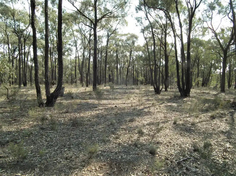 Lot 8 Gold Diggers Road, Bailieston VIC 3608