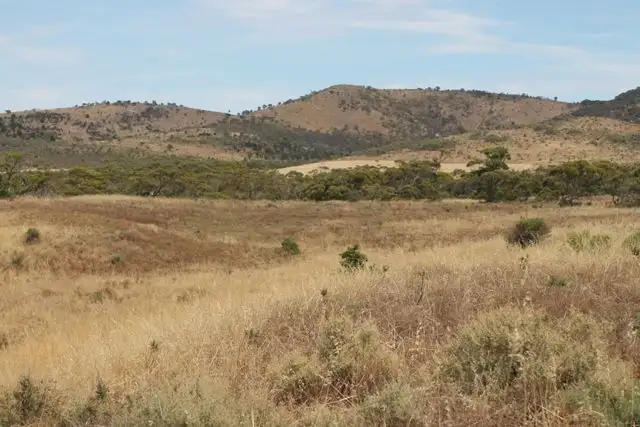 Fifth view of Homely rural property listing, Allotment 7 Hundred of Hawker, Cowell SA 5602