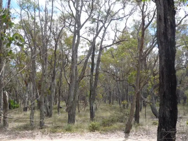 Third view of Homely land listing, Lot 490 Fisher Road, Kendenup WA 6323