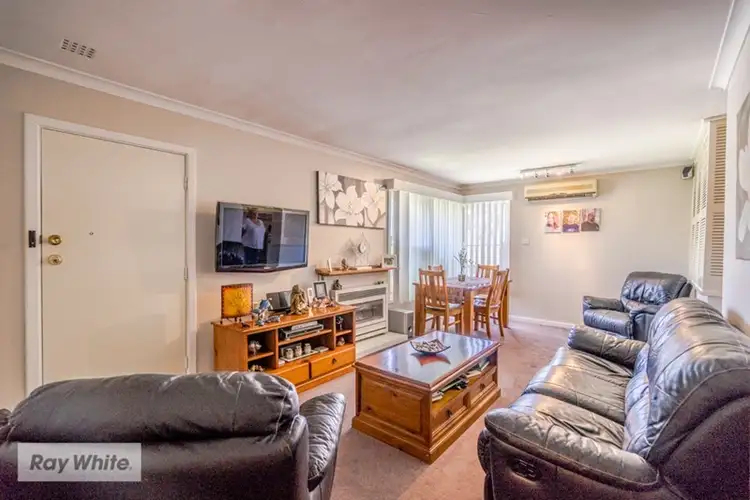 Main view of Homely house listing, 221 Mirrabooka Avenue, Balga WA 6061