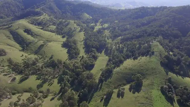 Second view of Homely rural property listing, 2441 Salisbury Road, Dungog NSW 2420