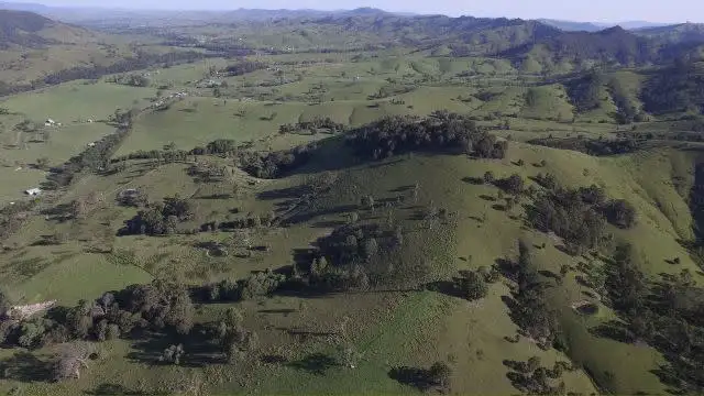 Fourth view of Homely rural property listing, 2441 Salisbury Road, Dungog NSW 2420