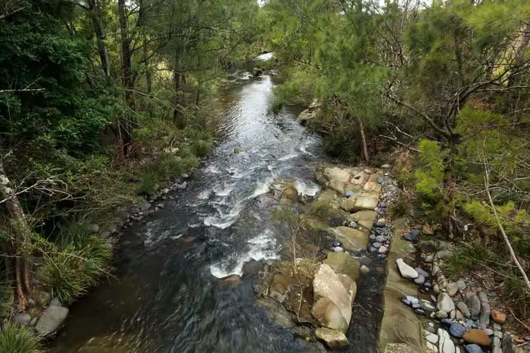 Fifth view of Homely rural property listing, 2441 Salisbury Road, Dungog NSW 2420