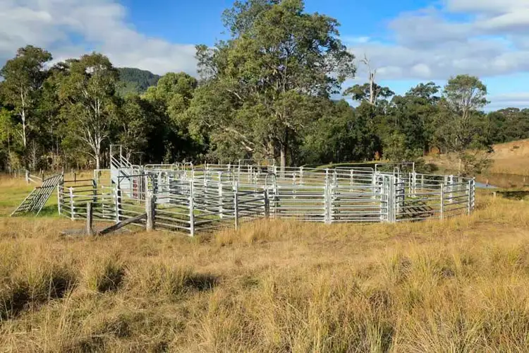 Seventh view of Homely rural property listing, 2441 Salisbury Road, Dungog NSW 2420