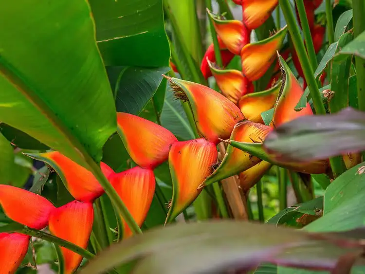 Sixth view of Homely apartment listing, 239/10 Pidgeon Close, West End QLD 4101