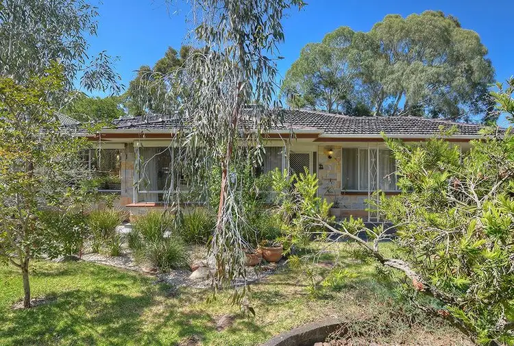 Main view of Homely house listing, 13 Ascham Road, Hope Valley SA 5090
