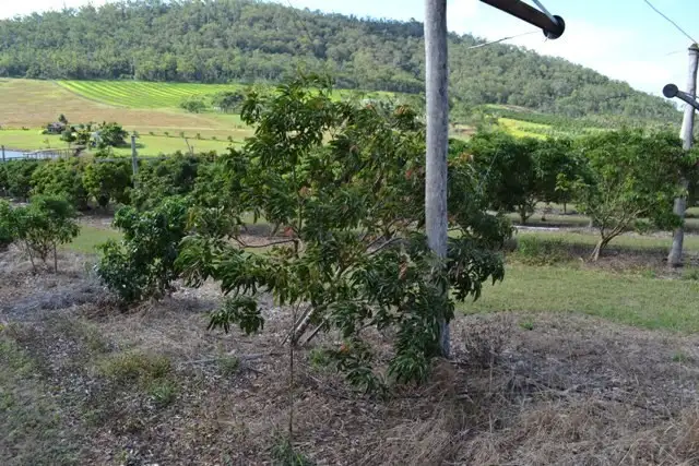 Third view of Homely land listing, 124 Evans Road, Bungundarra QLD 4703