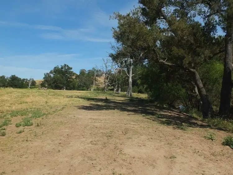 Seventh view of Homely rural property listing, 1672 Mutton Falls Road, O'connell NSW 2795