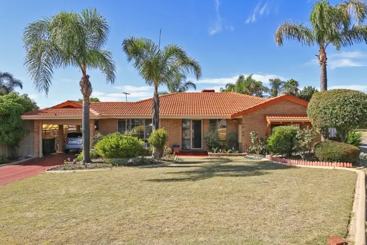 Fourth view of Homely house listing, 11 Ellara Court, Alexander Heights WA 6064