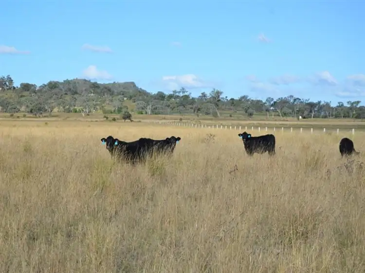 321 Weedons Road, Kingsthorpe QLD 4400