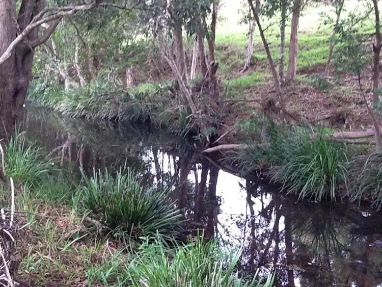 Fourth view of Homely rural property listing, 442 Smiths Creek Road, Uki NSW 2484