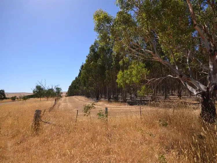 Seventh view of Homely rural property listing, Dreamers Hill Road, Linton VIC 3360