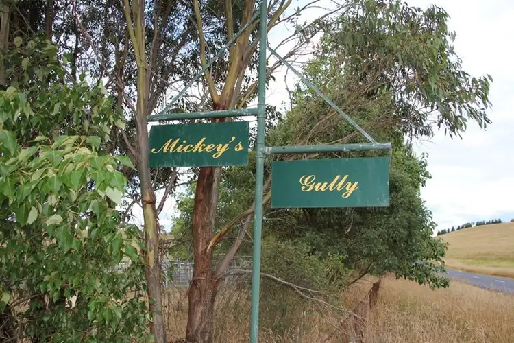 Third view of Homely rural property listing, 7356 Guyra Road, Guyra NSW 2365