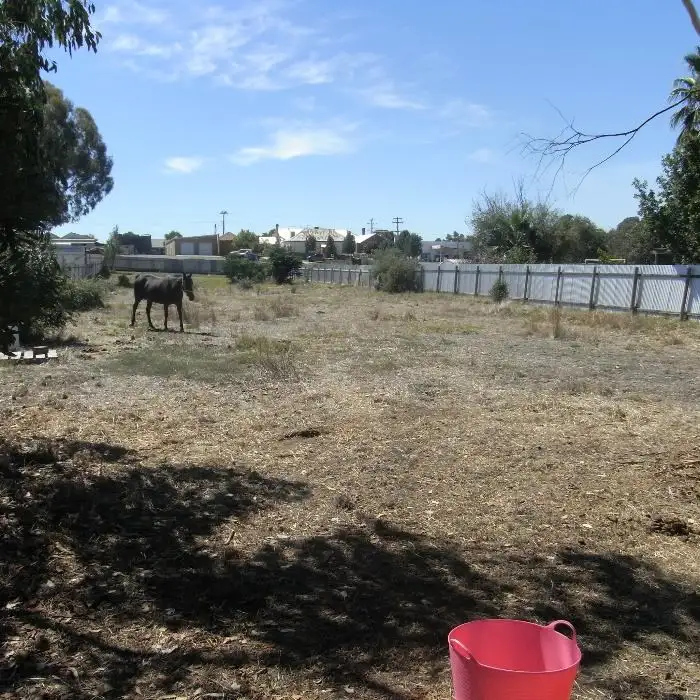 Third view of Homely land listing, 55 Russell Street, Howlong NSW 2643