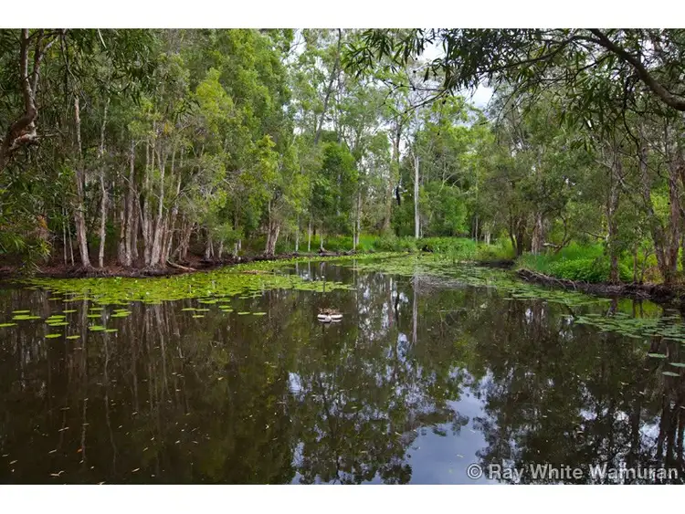 Sixth view of Homely house listing, 6 Sumsion Road, Wamuran QLD 4512