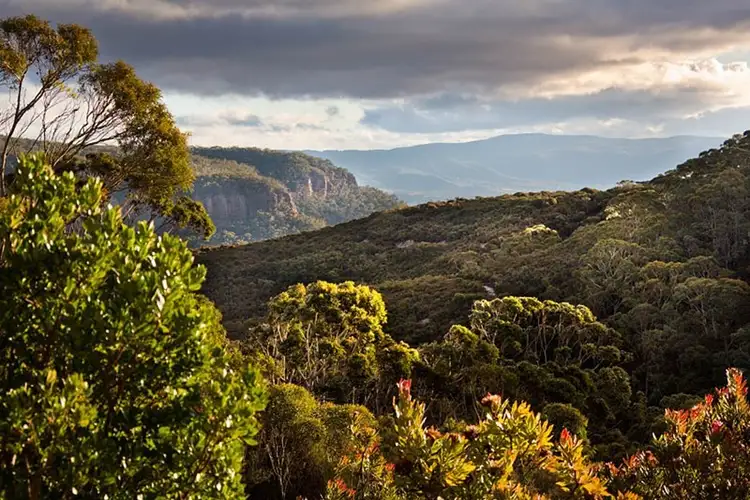 Lot 11, 22 Gordon Avenue, Blackheath NSW 2785
