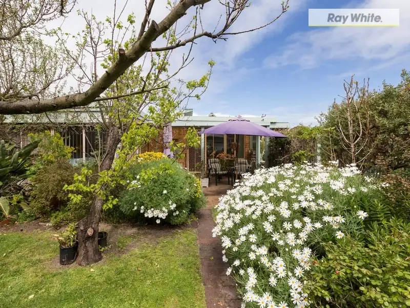 Main view of Homely house listing, 6 Walpole Avenue, Rosebud VIC 3939