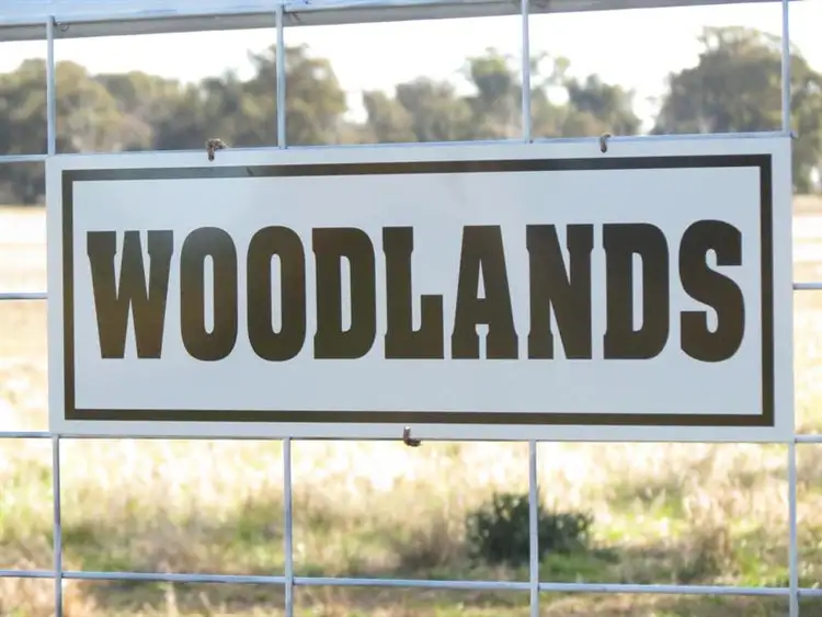 Main view of Homely rural property listing, 60 Springdam Road, Temora NSW 2666