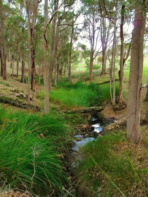 Second view of Homely rural property listing, 3 Halleys Road, Nannup WA 6275