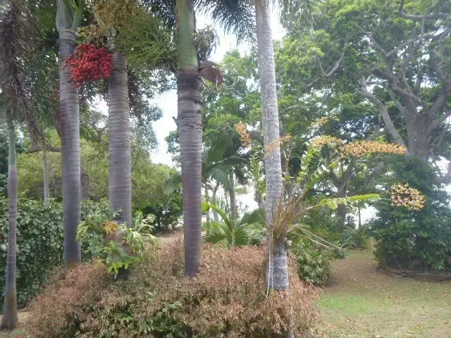 Sixth view of Homely house listing, 21 Esplanade, Cooktown QLD 4895