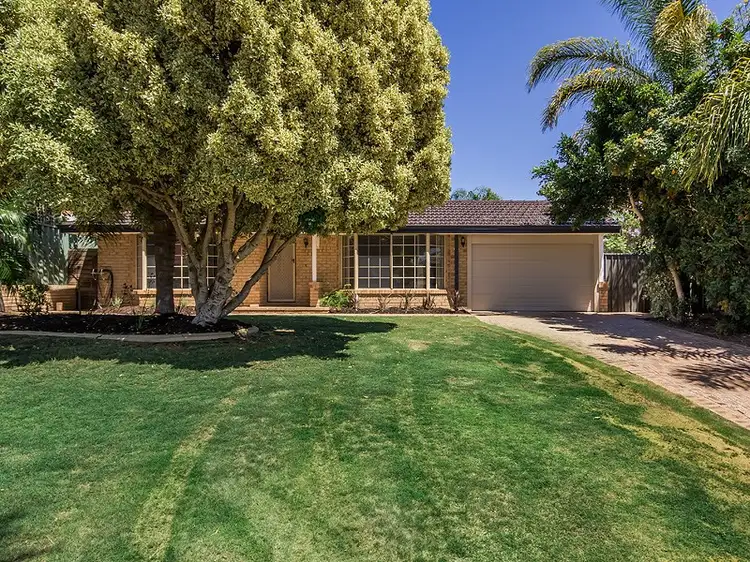 Main view of Homely house listing, 10 Murry Mews, Leda WA 6170