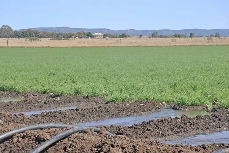 Sixth view of Homely rural property listing, 0 Gibber Gunyah Road, Isla QLD 4719