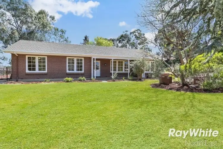 16 Buckley Crescent, Fairview Park SA 5126