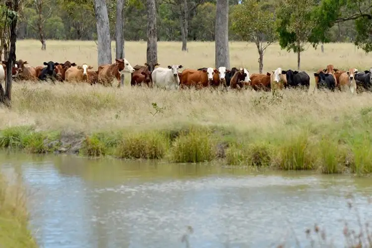 Main view of Homely rural property listing, 398 Brushabers Road, Tenterfield NSW 2372