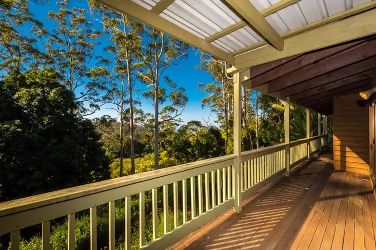 Main view of Homely house listing, 19 Katoomba Crescent, Tamborine Mountain QLD 4272