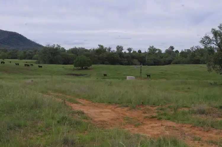 Second view of Homely rural property listing, 2000 'Bronco' Elcombe Road, Bingara NSW 2404