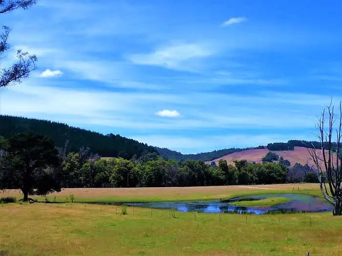 Third view of Homely rural property listing, Lot 84 Balingup Nannup Road, Nannup WA 6275