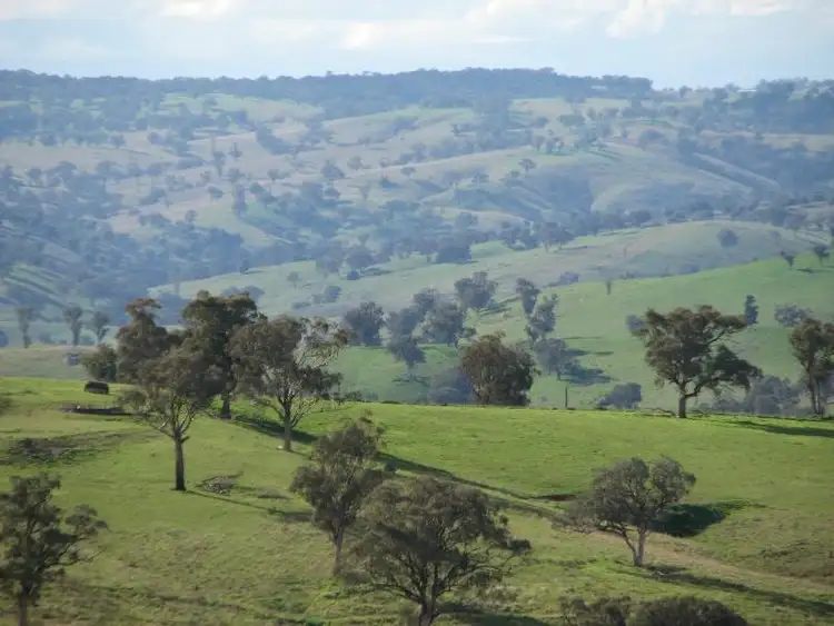 Second view of Homely rural property listing, 134 Kirribilli Road, Canowindra NSW 2804