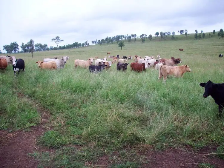 Lot 2 Mount Olive Road, Cinnabar QLD 4600
