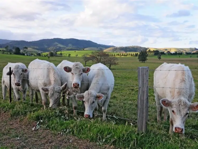 Sixth view of Homely rural property listing, 5 Dooley Road, Gerringong NSW 2534